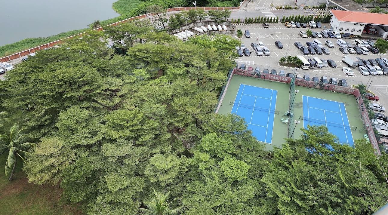 National Stadium Courts
